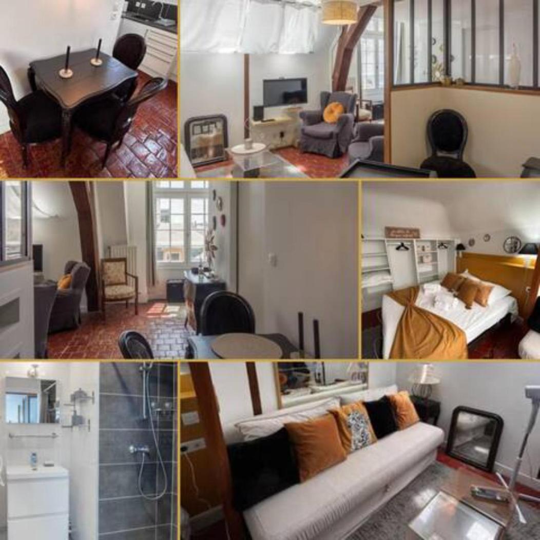 Apartmán Le Sainte Anne *Studio* Orléans Exteriér fotografie